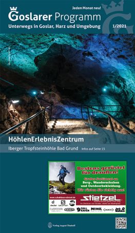 Goslarer Programm Januar 2021
